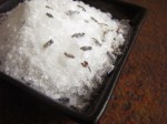 Lavender Bath Salts
