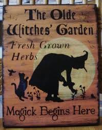 Witches Herb