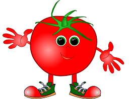 Tomato