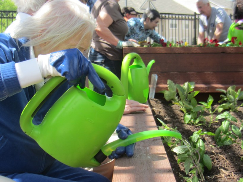 HorticulturalTherapyPhoto