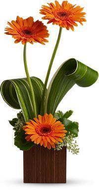 3370f479c802d48834ec6b351c15f946